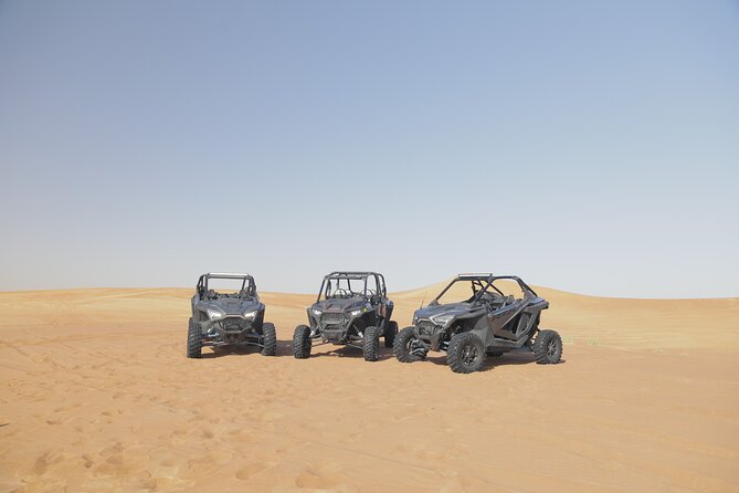 1 Seater Dune Buggy Safari / in Morning - Experience Highlights