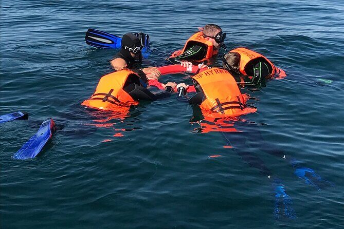 #1 Snorkel La Paz Mexico All Iconic Sites at Once private trip - The Sum Up