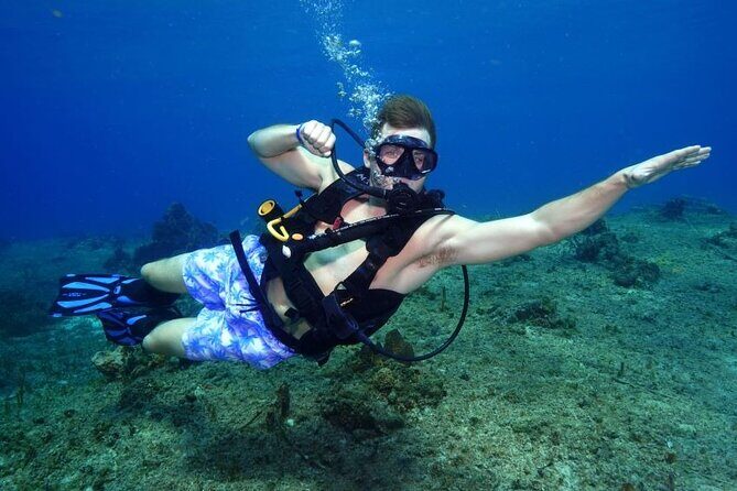 1 Tank Guided Shore Dive Including Equipment - Introduction: A Closer Look at the 1 Tank Guided Shore Dive in Cozumel