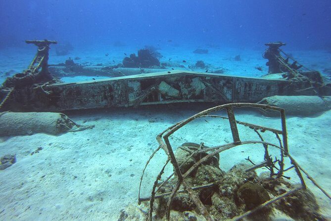 1 Tank Guided Shore Dive Including Equipment - Key Points