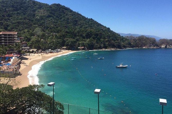1 to 10 Passengers Vallarta Private City Tour - Customer Feedback and Recommendations