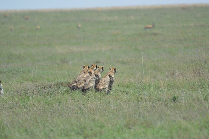 10-Day Amazing Comfort Camping Safari - Itinerary Highlights