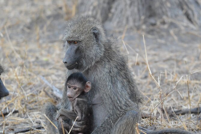 10-Day Amazing Comfort Camping Safari - Inclusions and Exclusions