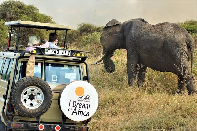 10-Day Amazing Comfort Camping Safari - Health and Safety Considerations