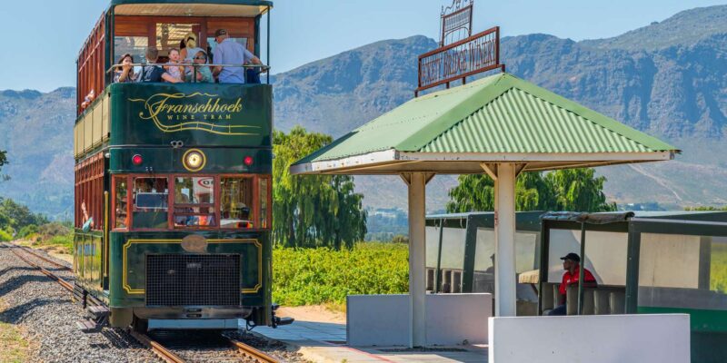 10 Day Cape Town to Kruger National Park: ALL INCLUSIVE TOUR - Blyde River Canyon and Wildlife Rehabilitation