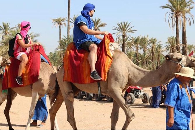 10 Day Classic Tour - Casablanca > Casablanca - What to Expect