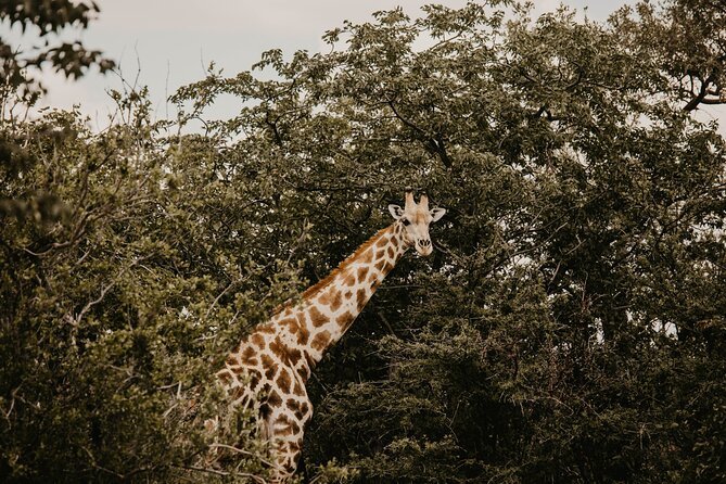 10 Day Discover Namibia Small Group Safari - Frequently Asked Questions
