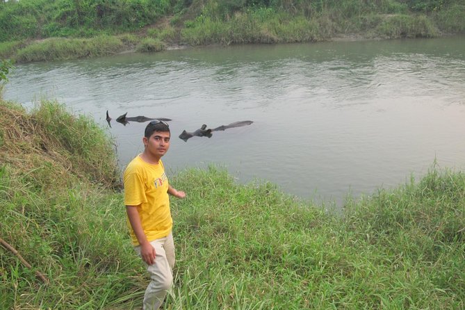 10 Day Kathmandu, Nagarkot, Chitwan, Lumbini, Pokhara Luxury Tour in Nepal - Culinary Experiences