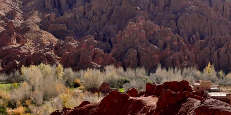 10-Day Morocco Adventure: Casablanca to the Sahara - Sahara Desert Adventure