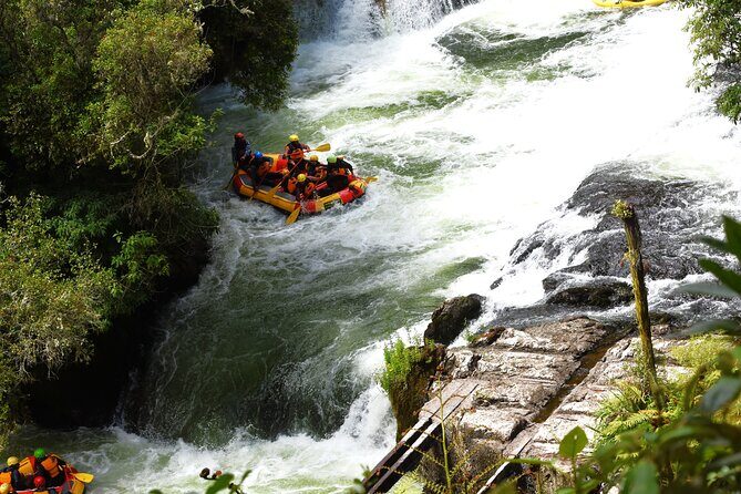 10 Day North to South Island NZ Private Tour from Auckland - FAQ