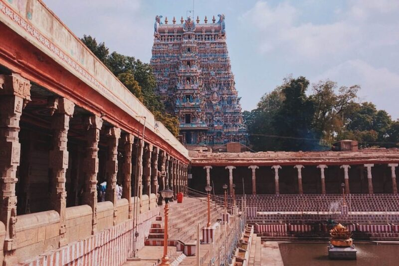 10-Day Taj Mahal and Wildlife Tour of Tamil Nadu - Itinerary Highlights