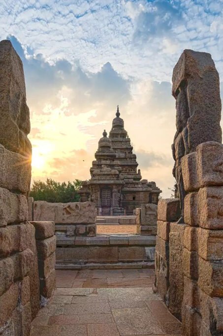 10-Day Taj Mahal and Wildlife Tour of Tamil Nadu - Discovering Mudumalai National Park