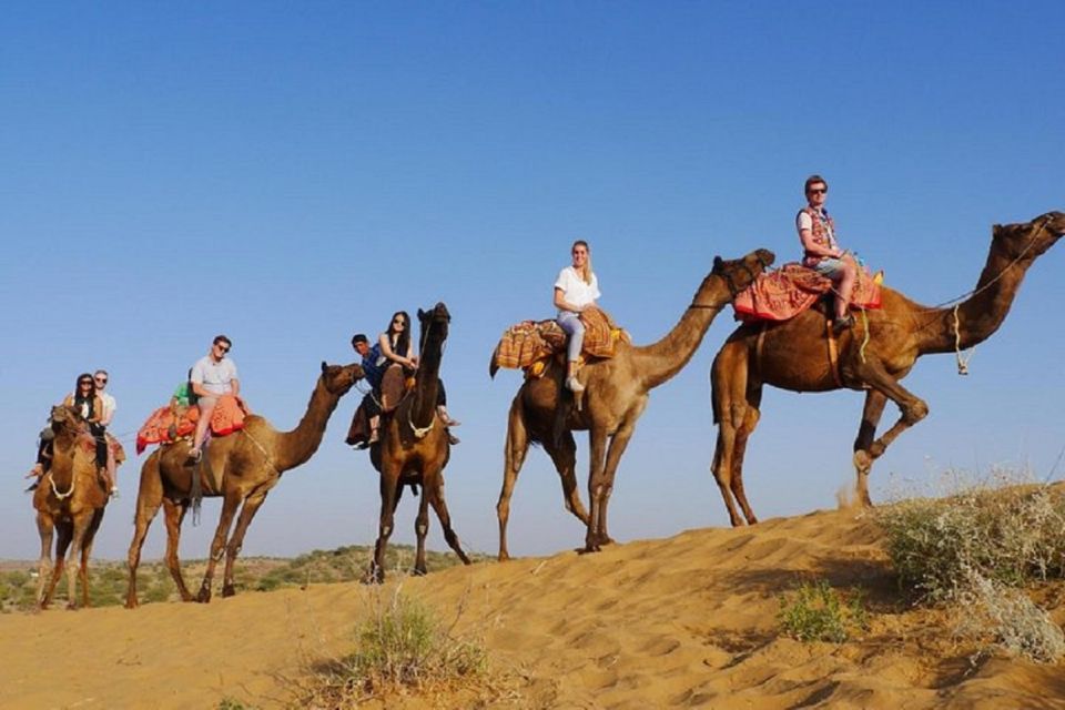 10-Days Jaipur, Udaipur, Mount Abu, Jodhpur & Jaisalmer Tour - Activities and Experiences