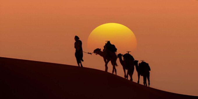 10 Days Luxury Tour From Casablanca Via Chefchaouen And Fes - Visiting Fes