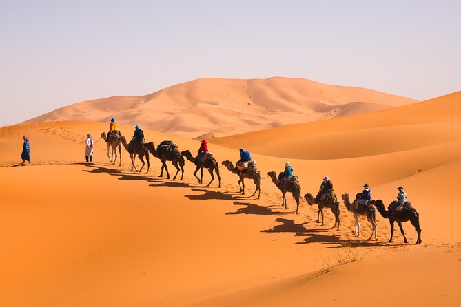 10 Days Morocco Private Tour From Marrakech By South Desert And Imperials Cities - Customer Feedback and Reviews