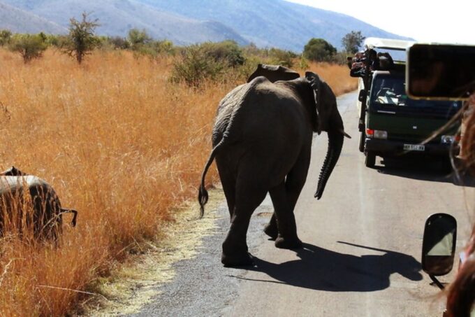 10 Days Overland Tour-Johannesburg and Cape Town - Logistics and Planning