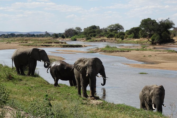 10 Days Safari to Nyerere NP, Ruaha NP, Udzungwa NP and Mikumi NP + Isimila Site - Good To Know