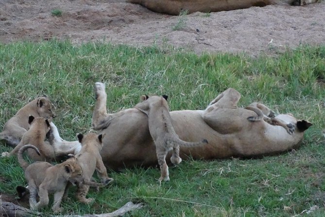 10 Days Safari to Nyerere NP, Ruaha NP, Udzungwa NP and Mikumi NP + Isimila Site - Inclusions and Exclusions