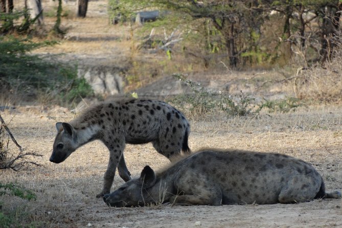 10 Days Safari to Nyerere NP, Ruaha NP, Udzungwa NP and Mikumi NP + Isimila Site - Pricing Information