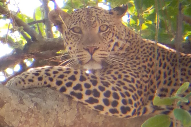 10 Days Safari to Nyerere NP, Ruaha NP, Udzungwa NP and Mikumi NP + Isimila Site - Frequently Asked Questions