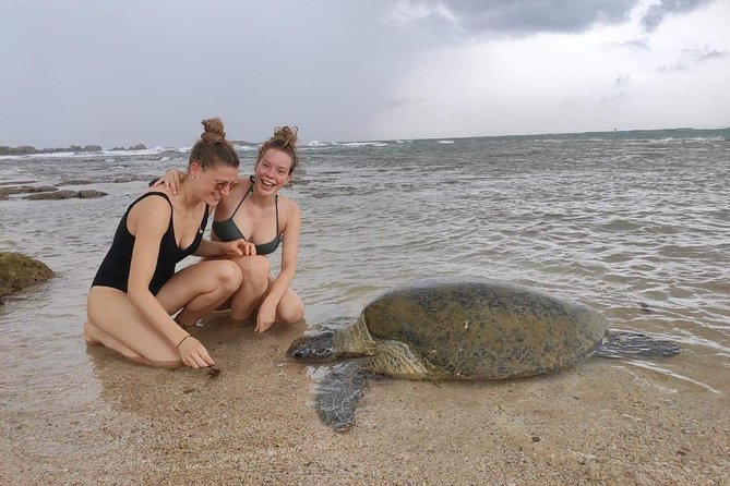 10 Days Tour in Sri Lanka (Hotels With Breakfast & Luxury Car) - Embark on Yala Wildlife Safari