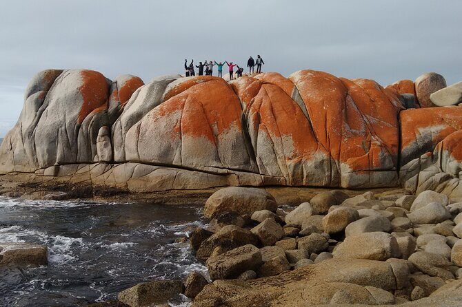 10 Days Ultimate Guided Tour of Tasmania - Comfort Tour - Practical Considerations and What to Expect