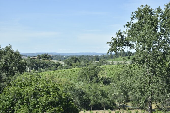 10-Hour Napa Valley Wine Tasting Tour From San Francisco 14 Pax - The Sum Up