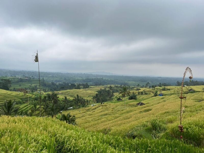 10 Hour West Bali Tour Taman Ayun, Ulun Danu & Tanah Lot - Important Information