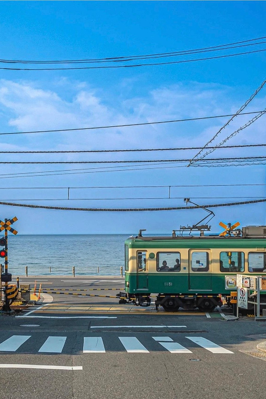 10 Hours Tour in Hakone - Driver and Language Services