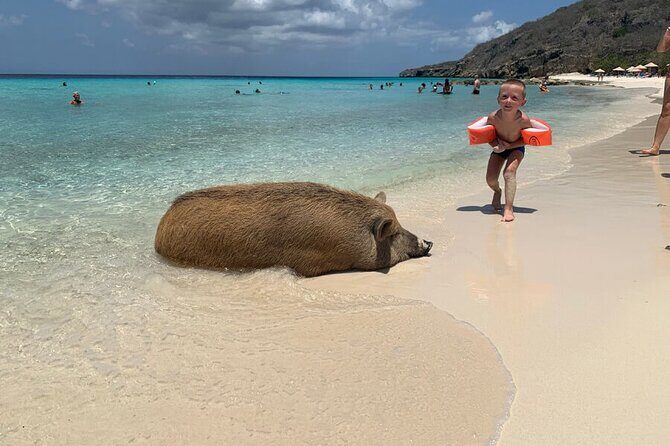 10 Seats Private Van Beach hopping (AC) - Key Points