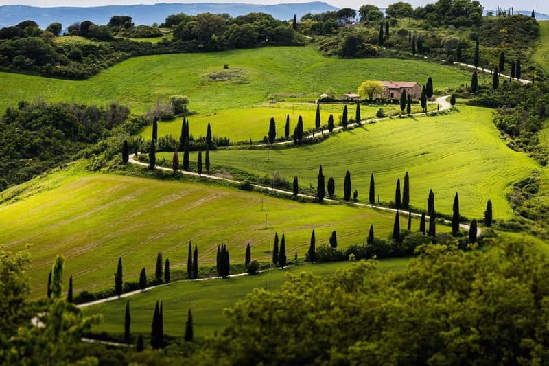 100% Tuscany! Chianti, Pinot & Supertuscan Wine Tour - A Detailed Look at the Tour Experience