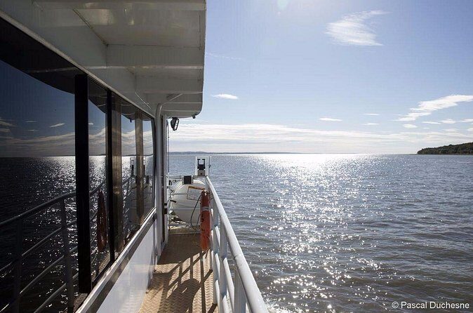 1000 Little Penguins Cruise - FAQ