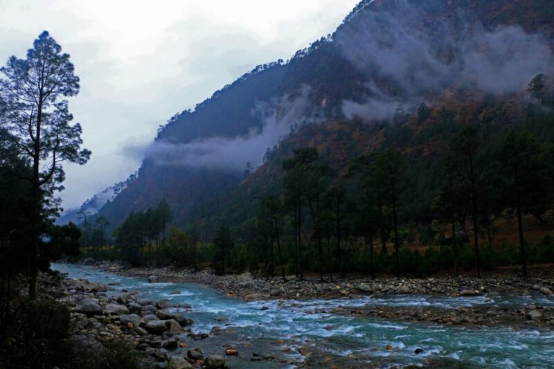11 Days Luxury Golden Triangle With Uttarakhand Tour - Included Services