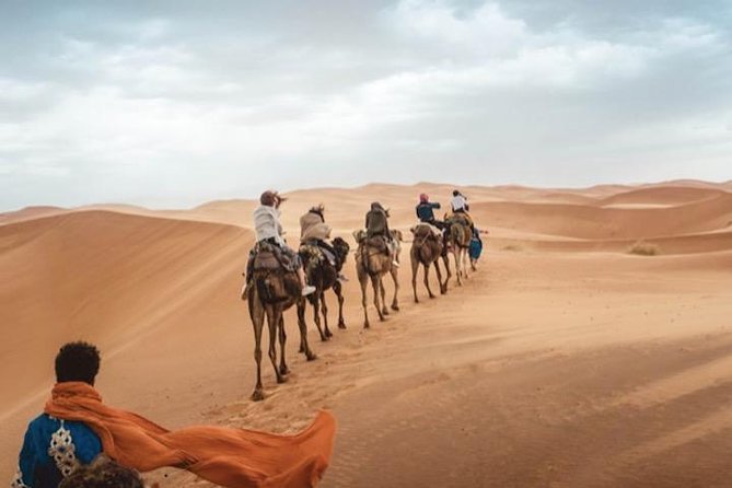 11 Days Morocco Epic Private Tour - Casablanca to Marrakesh via Chaouen & Desert - Included Accommodations