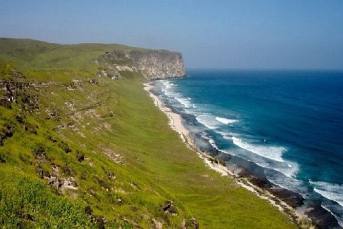 11 Days Tour Muscat and Salalah - Customer Reviews