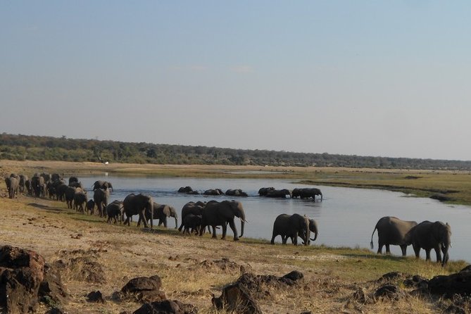 11Day WILDERNESS TRAIL:Okavango,Moremi&Chobe -WildCamping Safari +Victoria Falls - Camping and Accommodations