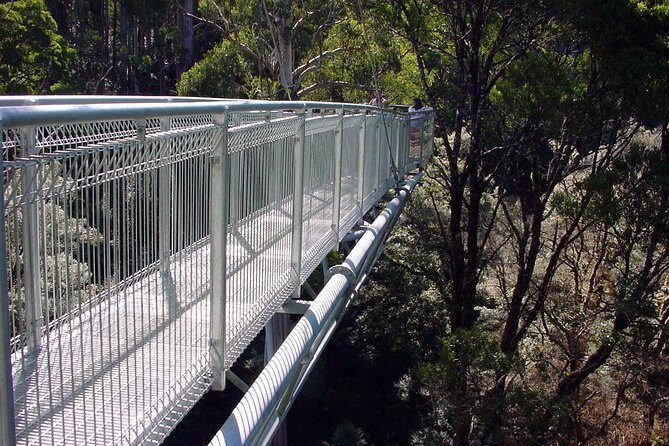 12 Apostles and Otway Fly Zipline Day Trip from Melbourne - What Reviewers Say