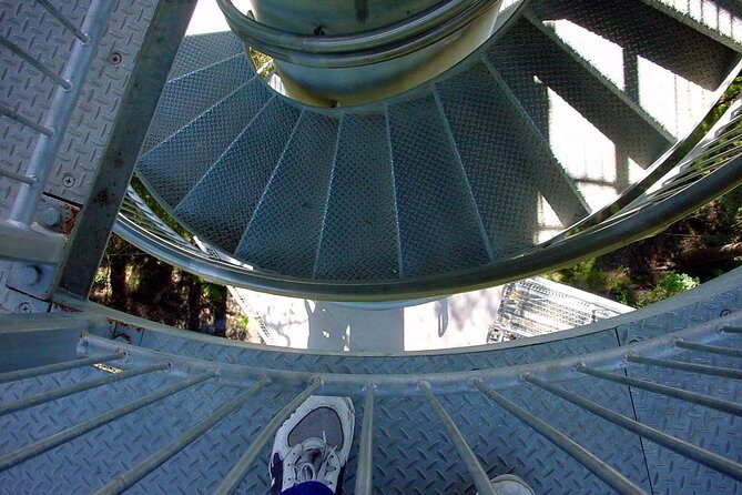 12 Apostles and Otway Fly Zipline Day Trip from Melbourne - The Sum Up