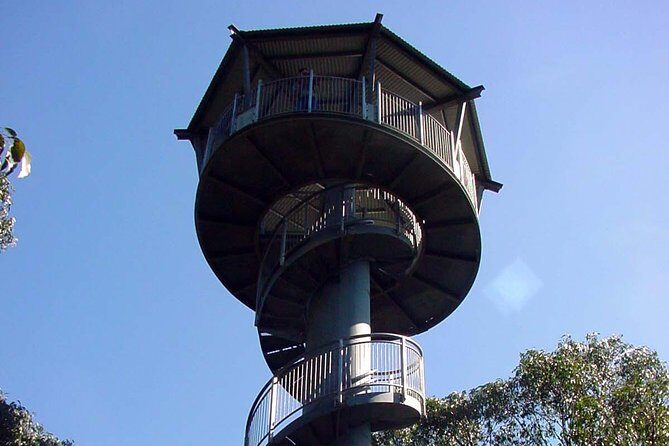 12 Apostles and Otway Fly Zipline Day Trip from Melbourne - FAQ