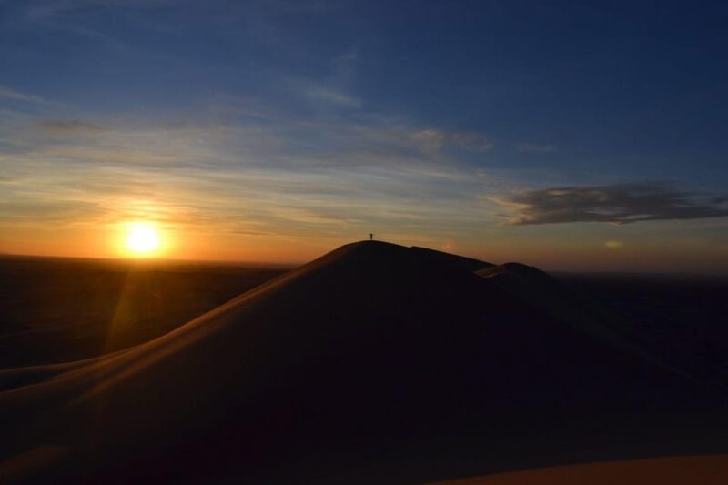 12 Day Great Gobi and Central Mongolia Full Adventure - Included Services