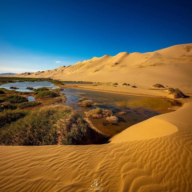 12 Day Great Gobi and Central Mongolia Full Adventure - Khongor Sand Dune and Camel Ride