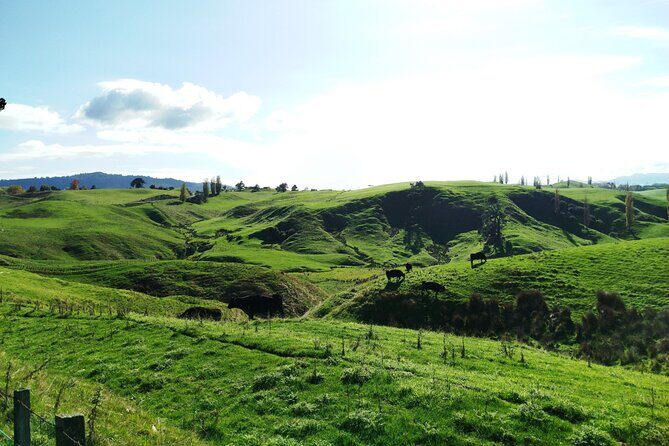 12 Day New Zealand Private Tour from Auckland to Queenstown - Final Thoughts