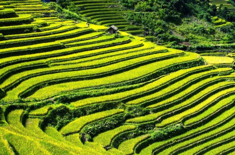 12-DAY Vietnam and Cambodia Tour With Hạ Long Bay Cruise - Frequently Asked Questions