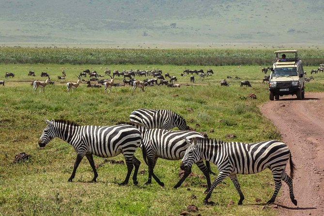 12 Days Amazing Tanzania Wildlife and Cultural Experience - Pricing and Cancellation