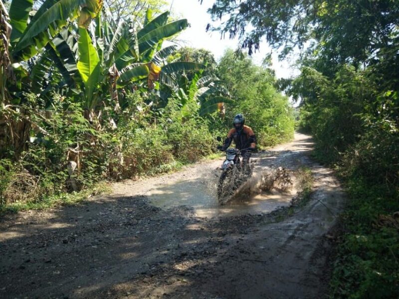 12 Days in Indonesia Bali Java Adventure on Motorcycle - Included Services