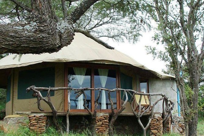 12 Days Kenya and Tanzania Safari Private Lodge From Nairobi - Highlights of the Safari