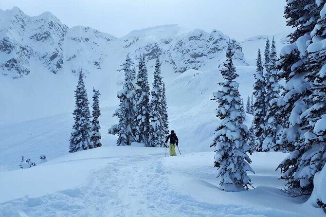 12 Days Powder Highway Ski and Snowboard Tour - Authentic Experiences and Hidden Gems