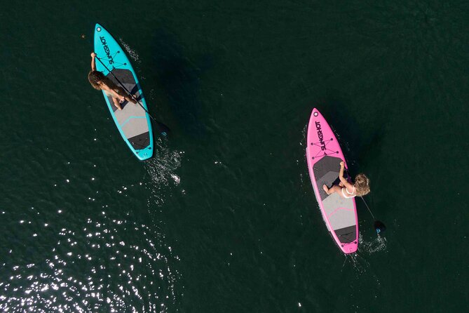 12-Hours Stand-up Paddle Board Rentals - Accessibility Information