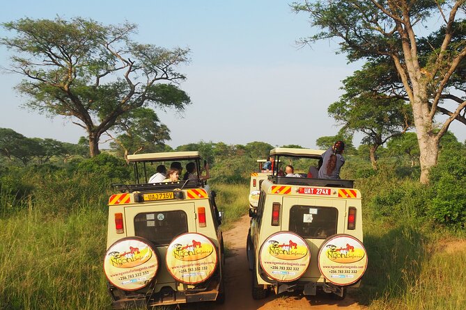 13-Day Wildlife Adventure Trip to the Pearl of Africa - Accessibility Features