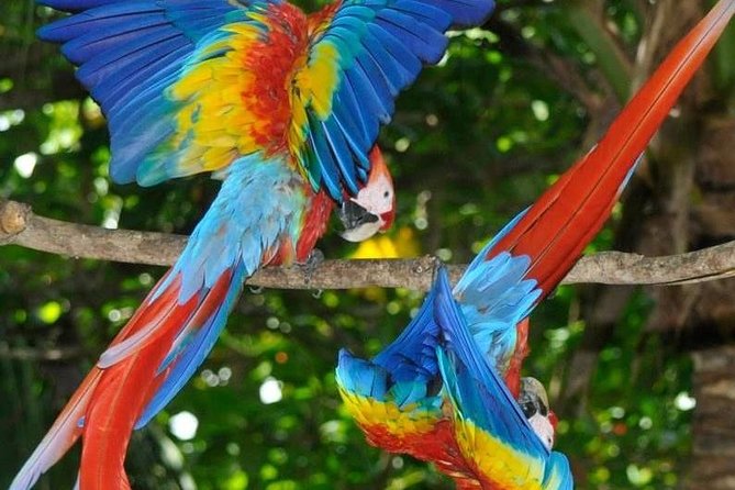 13 Days: Jungle and Beach in Costa Rica - Guanacaste Beach Relaxation